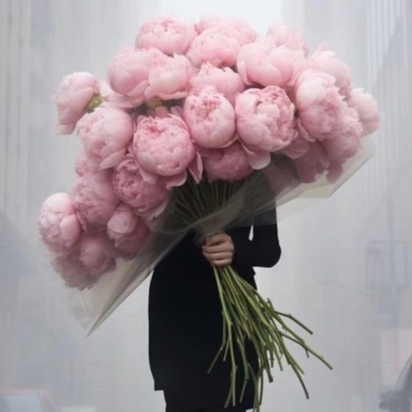 Meet your Posher, Kris - Picture 5 of 14